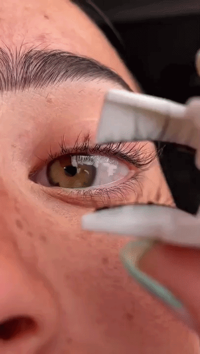 SnapLash Premium Magnetic Lahes